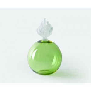 Anemone Bottle, Lrg - Lime