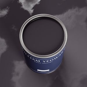 Black Carrot Paint