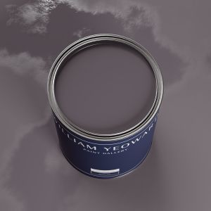 Damson Grey Paint