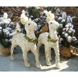 Snow Deer - White Bird    